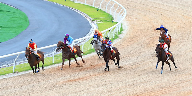 Bongvip Cá Cược Đua Ngựa Ảo An Toàn Và Kinh Nghiệm Thực Tế